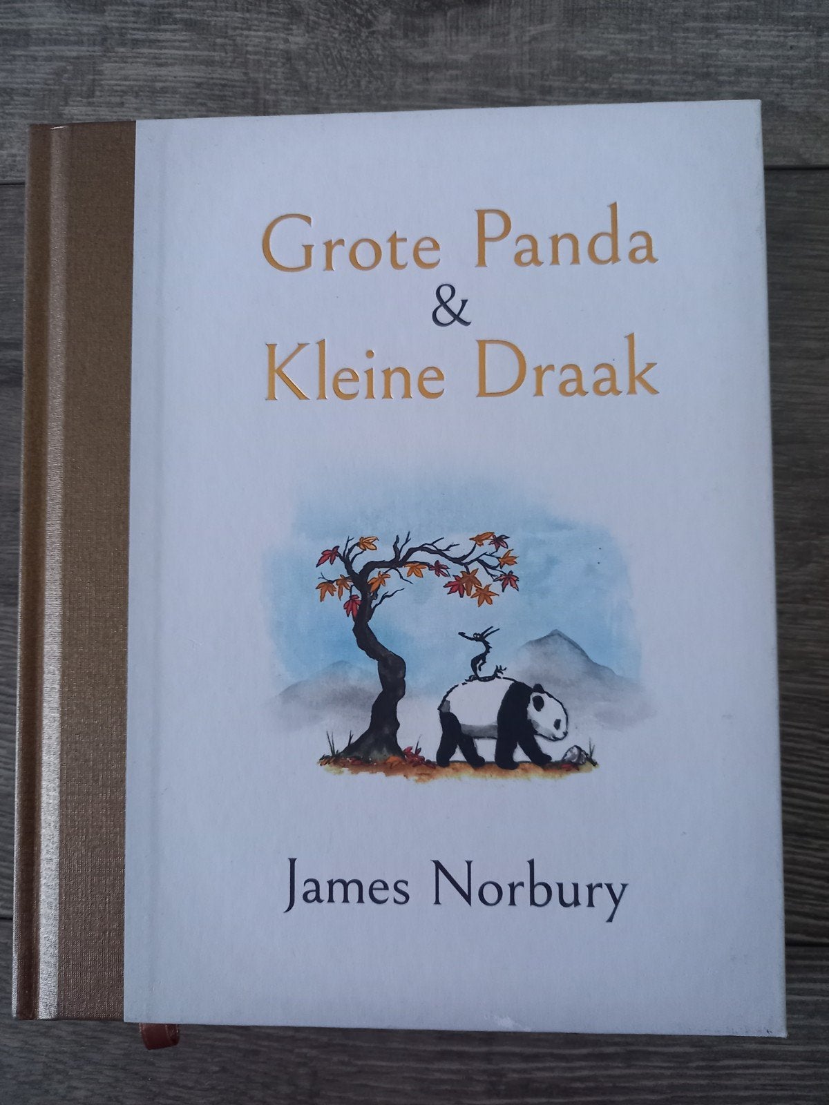 Grote Panda & Kleine Draak - James Norbury, Boeken, Ophalen of Verzenden, Zo goed als nieuw, James Norbury, Nederland