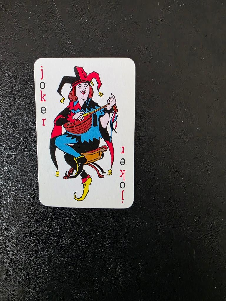Joker Instrument, Ophalen of Verzenden, Zo goed als nieuw, Joker(s)