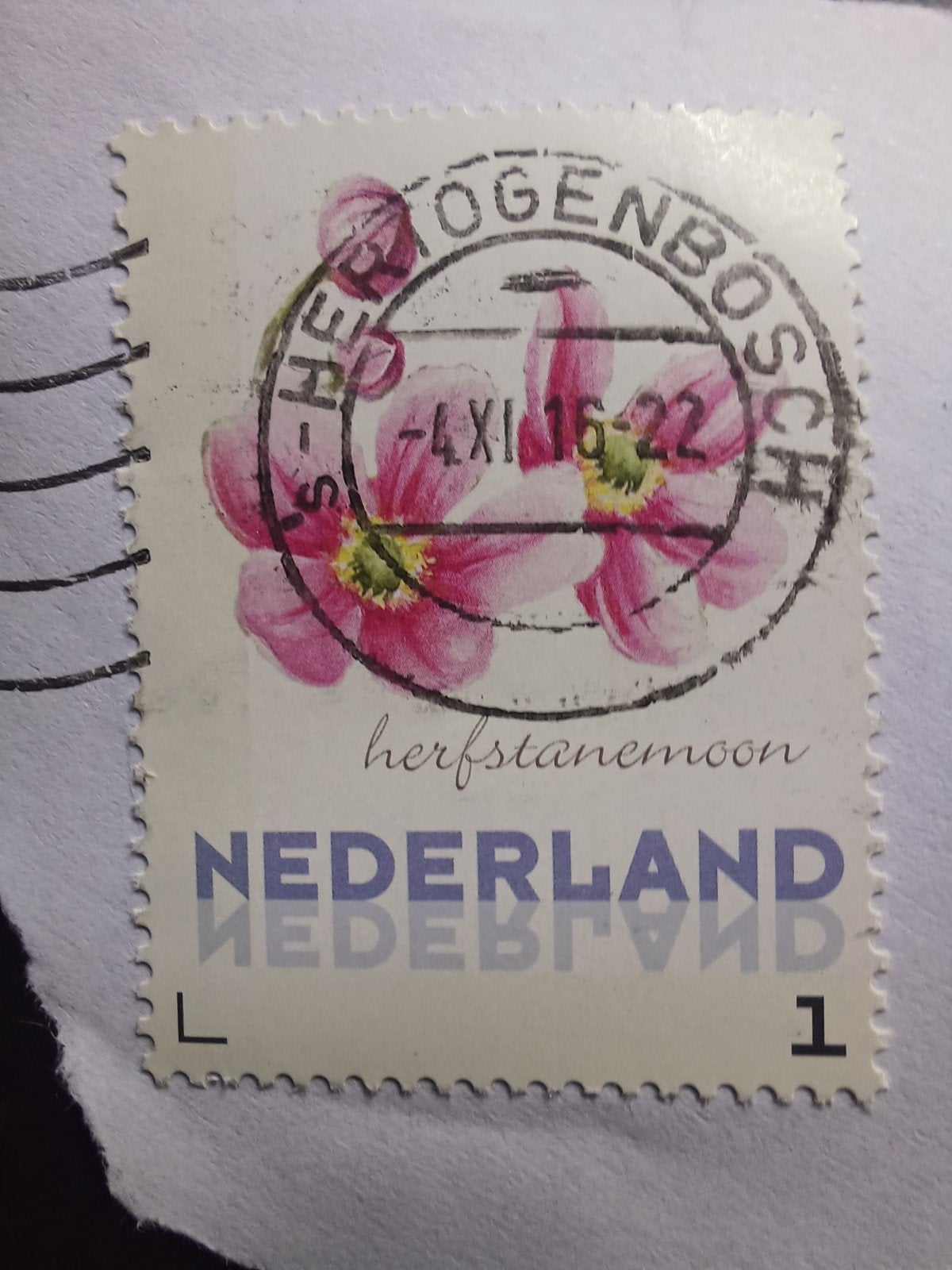 Nederlandse postzegel (141) Herfstanemoon, Ophalen, Na 1940, Gestempeld