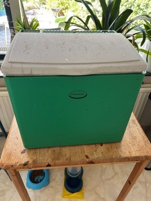 campingkoelkast electrolux, Ophalen, Gebruikt, Koelbox, Elektrisch