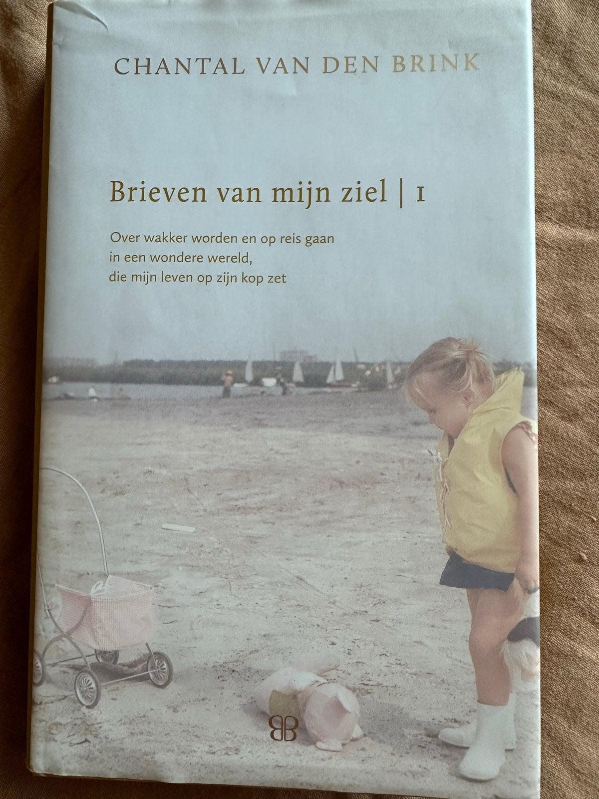 Brieven van mijn ziel | I - Chantal van den Brink, Ophalen of Verzenden, Zo goed als nieuw, Spiritualiteit algemeen, Achtergrond en Informatie