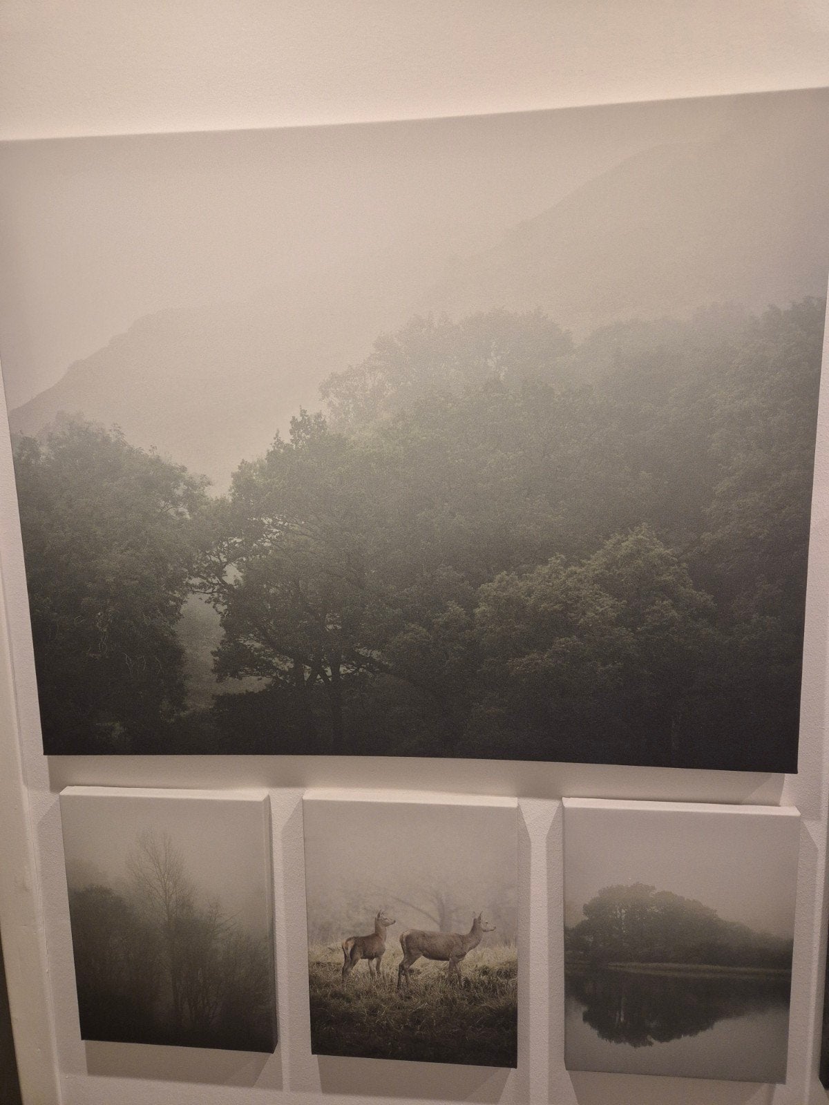 Set van 9 canvas IKEA Pjätteryd - mist in het bos, Ophalen, Zo goed als nieuw