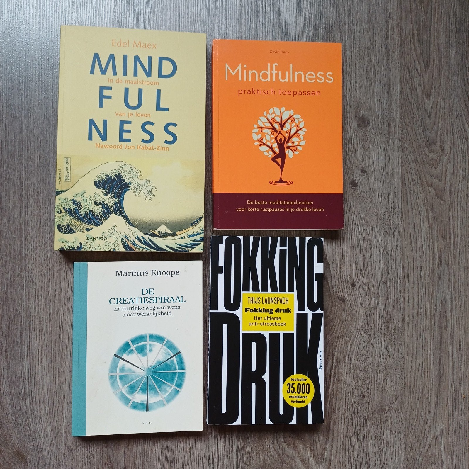 NIEUW Mindfulness boeken 4 stuks, Ophalen of Verzenden, Nieuw, Spiritualiteit algemeen, Overige typen
