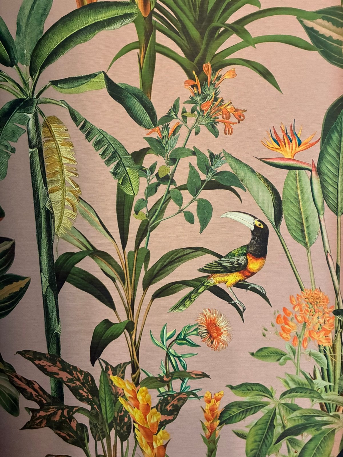 GRATIS 6 rollen Gamma behang, 2 soorten, zie foto’s, Huis en Inrichting, Stoffering | Behang, Ophalen, Vliesbehang, Overige stijlen
