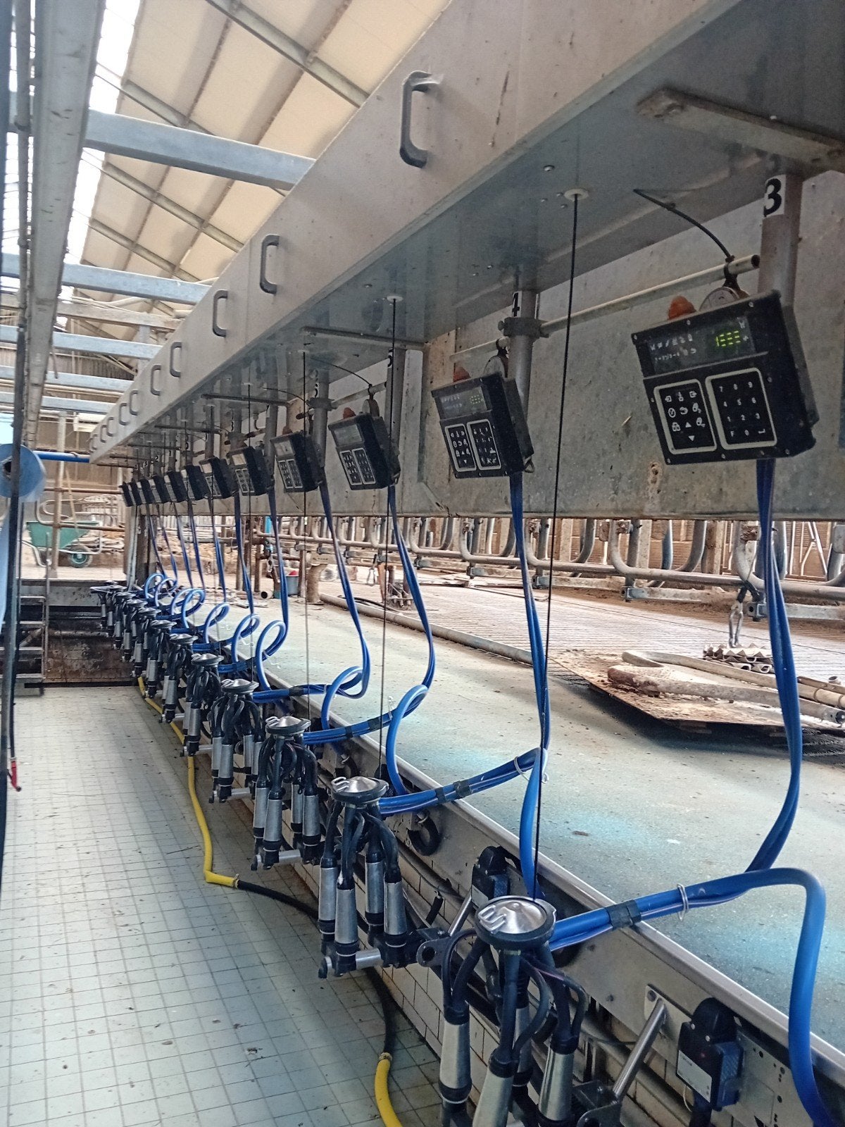 28 stands zij aan zij Delavalrapidex,packo melktank 14500m, Ophalen, Zo goed als nieuw