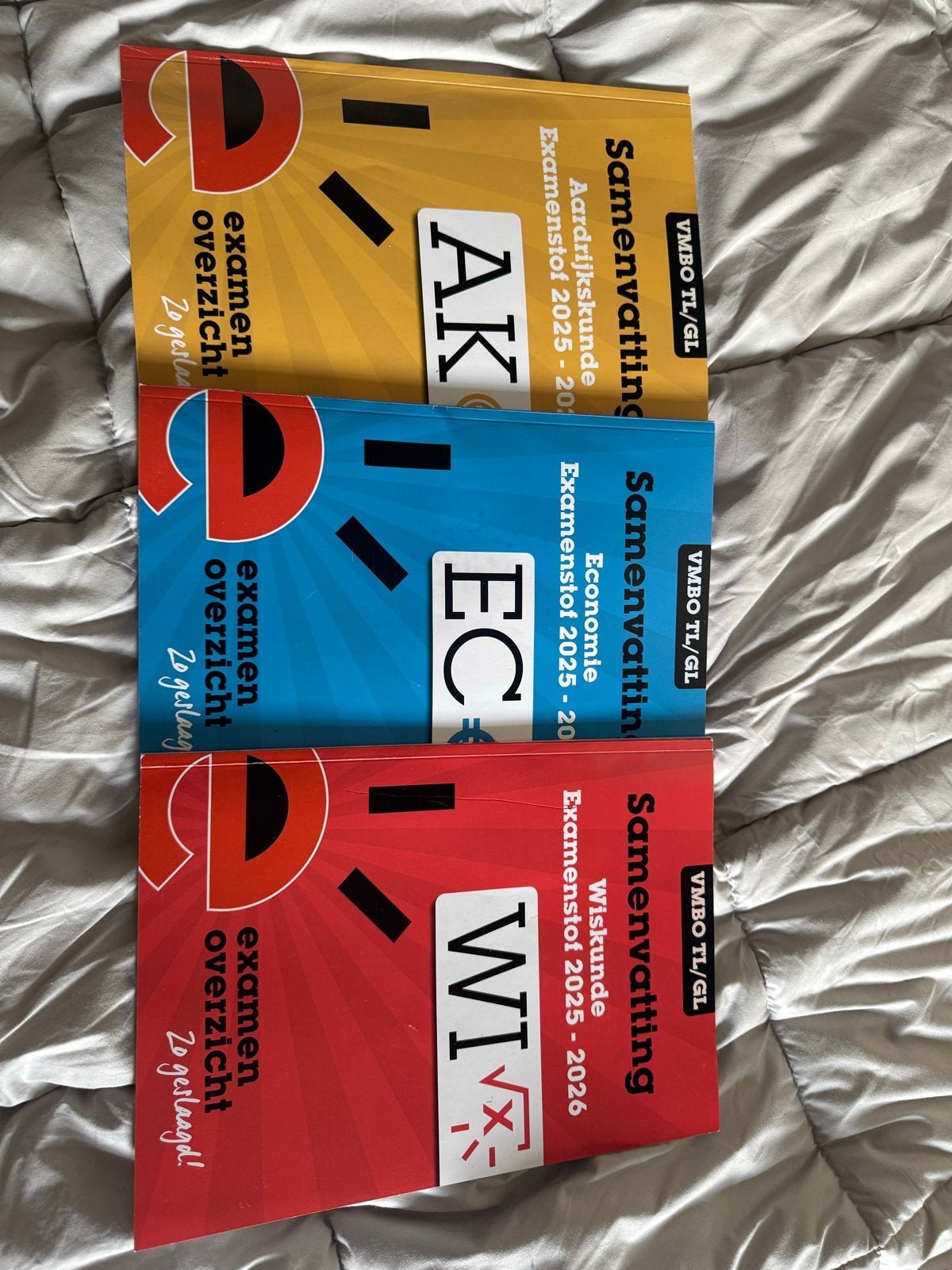 Examenbundels VMBO TL/GL Aardrijkskunde, Economie, Wiskunde, Boeken, Schoolboeken, Ophalen of Verzenden, Zo goed als nieuw, VMBO