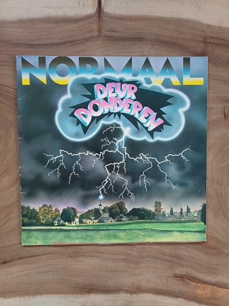 Normaal - Deurdonderen - Vinyl, Ophalen of Verzenden, Zo goed als nieuw, Overige formaten, Rock