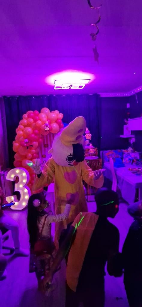 Te huur Clown Kostuum voor Feestjes en Evenementen, Ophalen of Verzenden, Gebruikt, Kostuum, Carnaval