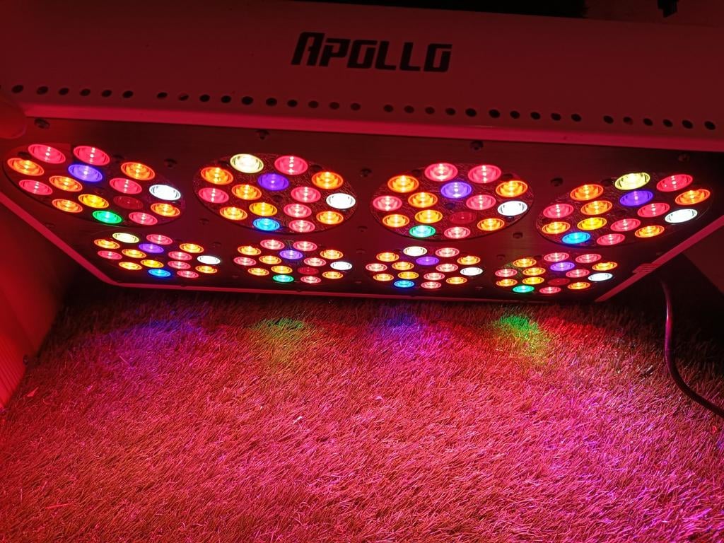 Apollo 8 LED kweeklamp – 265W full spectrum (krachtig model), Tuin en Terras, Kweekspullen, Ophalen of Verzenden, Zo goed als nieuw