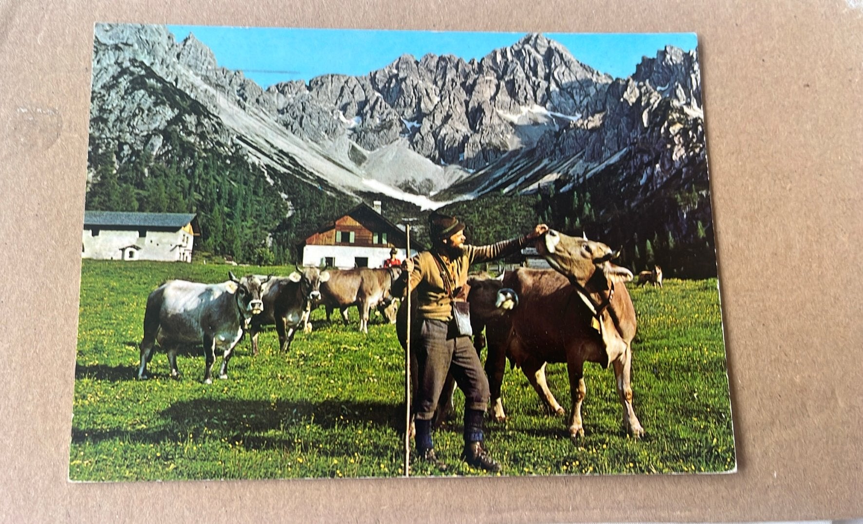 Koeien Alm Tirol, Verzamelen, Ophalen of Verzenden, 1980 tot heden, Gelopen, Overige soorten