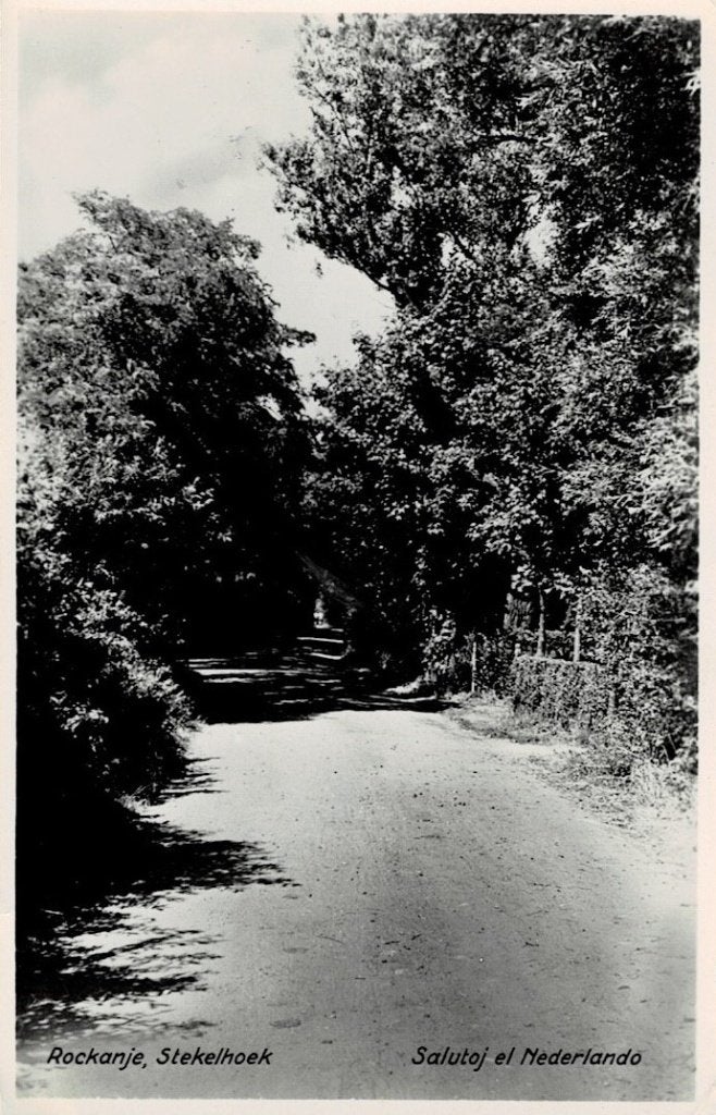 Rockanje, Stekelhoek - 1950, Ophalen of Verzenden, 1940 tot 1960, Gelopen, Zuid-Holland