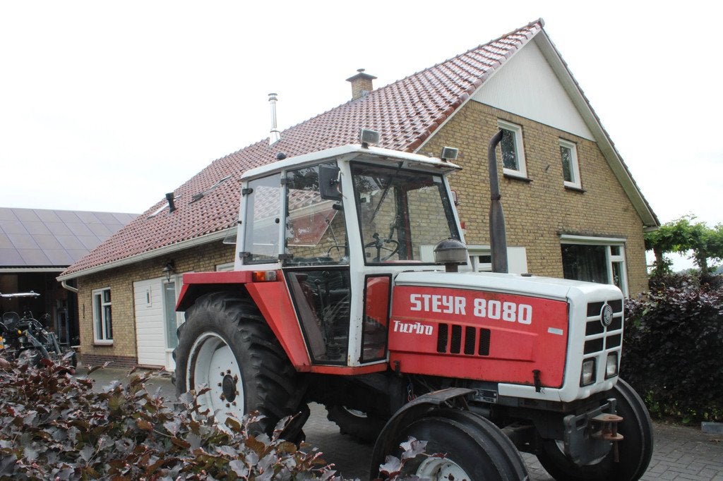 Steyr 8080 8080 (bj 1981), Gebruikt, Tot 80 Pk, Steyr