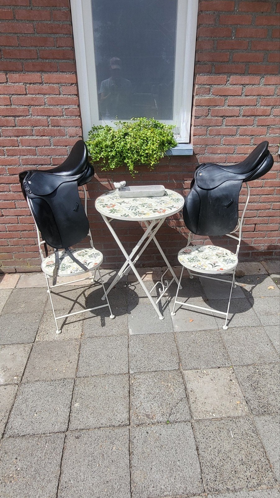 Massimo dressuur en BR veelzijdigheidszadel, L (17.5 inch), Gebruikt, Massimo, Dressuur