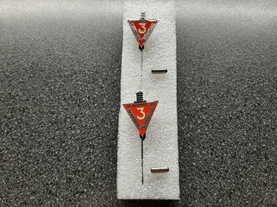 Reünie   spelden  -  46 GAROET 50  /  Indië., Ophalen of Verzenden, Landmacht, Nederland, Embleem of Badge
