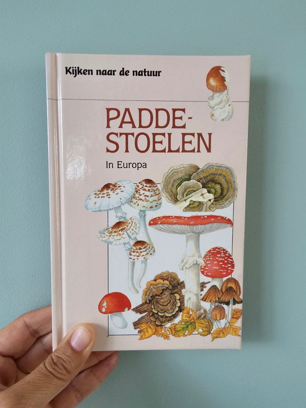 PADDESTOELEN in Europa, Gordon Dickson, Ophalen of Verzenden, Zo goed als nieuw, Natuur algemeen