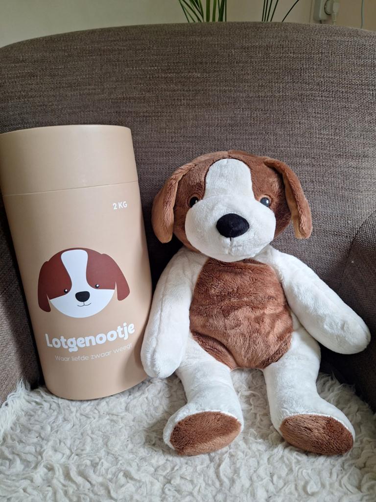 Lotgenootje verzwaringsknuffel hond 2kg, Met doos, Overige merken, Zo goed als nieuw, Middelgroot (20 tot 80 cm)