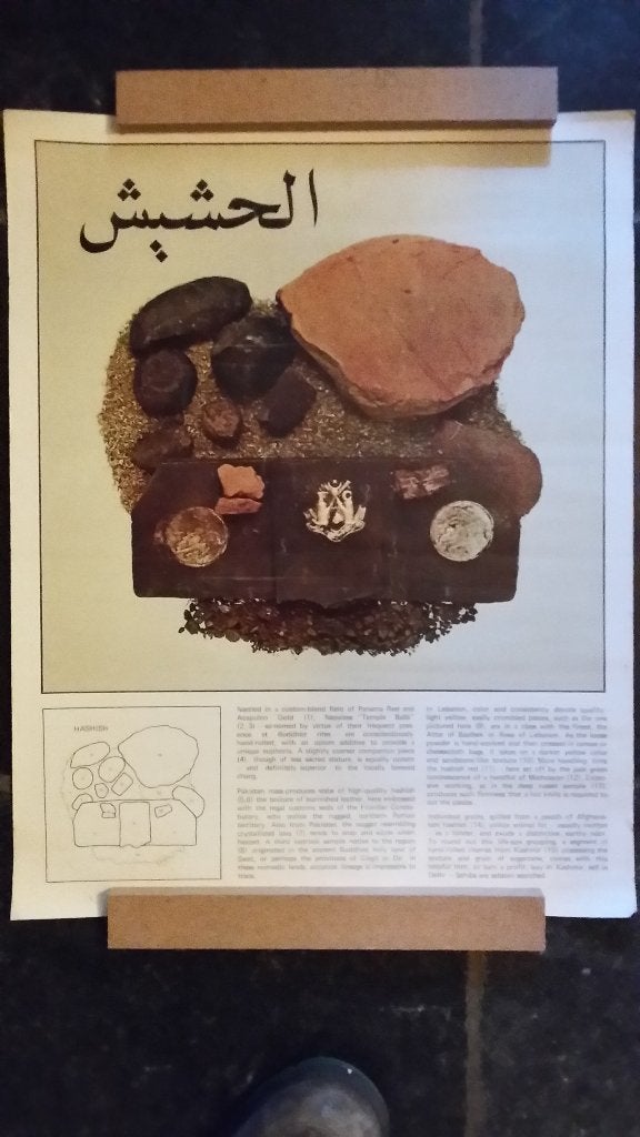 poster mariuana hashish, Rechthoekig Staand, Ophalen of Verzenden, Zo goed als nieuw, A1 t/m A3