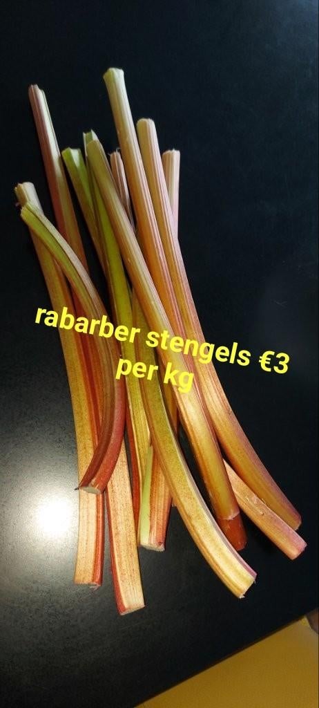 Rabarber stengels biologisch, Ophalen of Verzenden