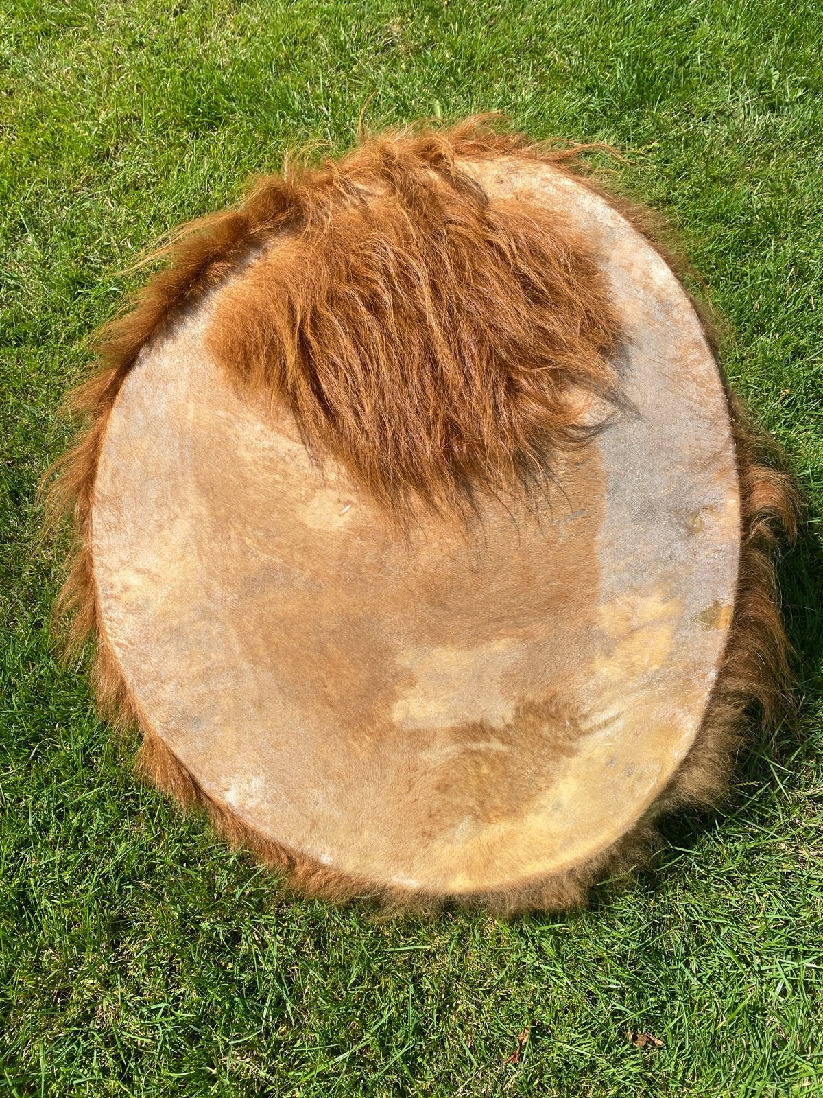 Handgemaakte shaman drum van  Schotse Hooglander, Ophalen of Verzenden, Zo goed als nieuw, Overige merken