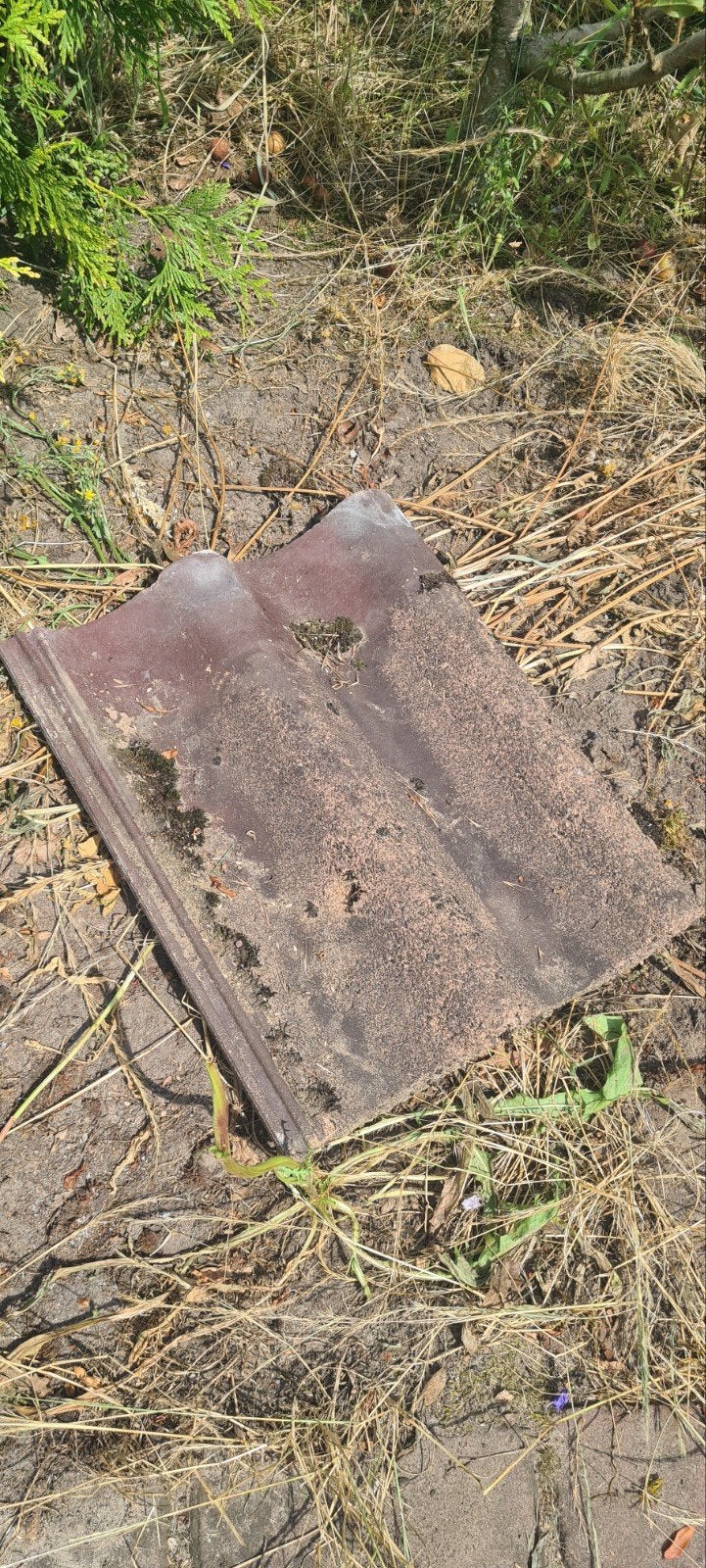 Gratis beton dakpannen Teewen - Gebruikt, Doe-het-zelf en Verbouw, Dakpannen en Dakbedekking, Ophalen, Gebruikt, Steen of Klei