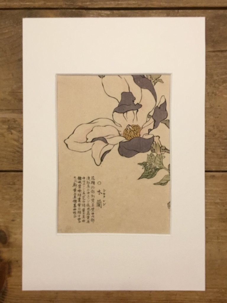 Antieke Japanse houtblok prent in passe-partout, Antiek en Kunst, Kunst | Niet-Westerse kunst, Wanddecoratie, Verzenden, Handgemaakt