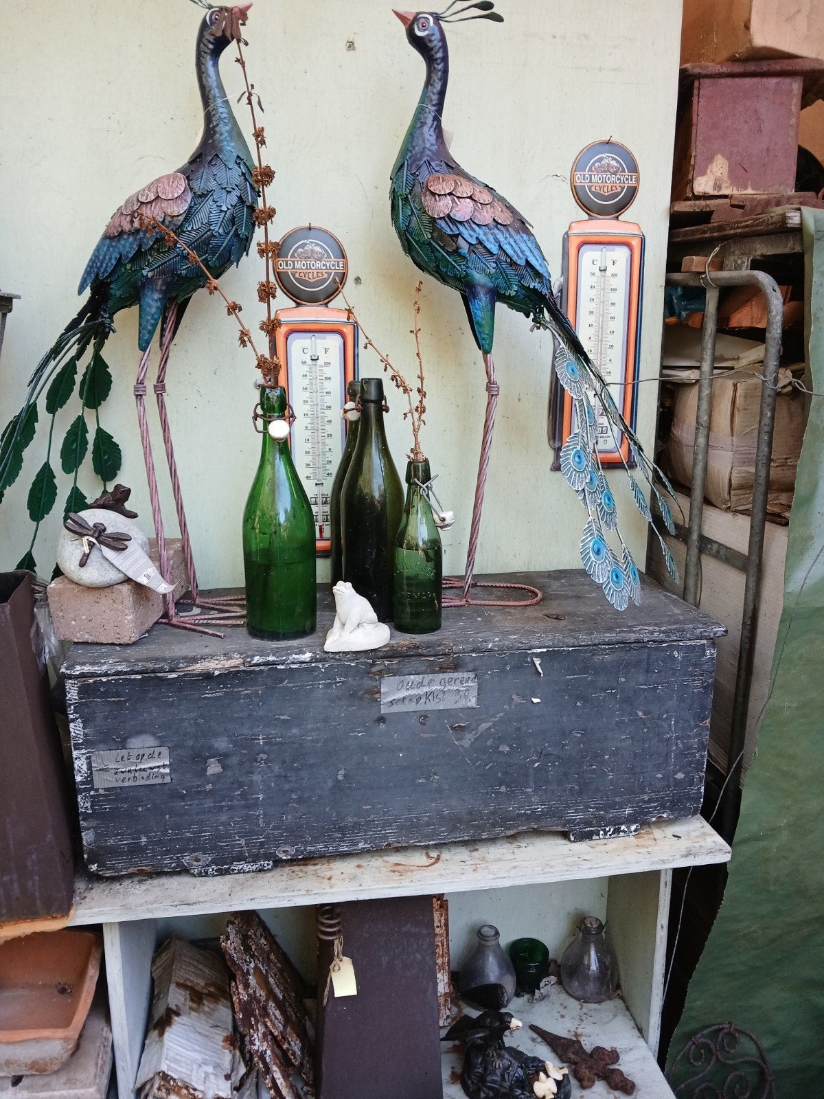 Decoratieve pauwen en antiek vintage kist timmerkist, Ophalen