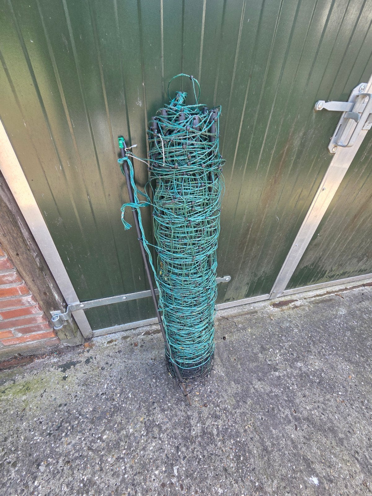 Afrastering stroom net, Vrouwelijk, Schaap