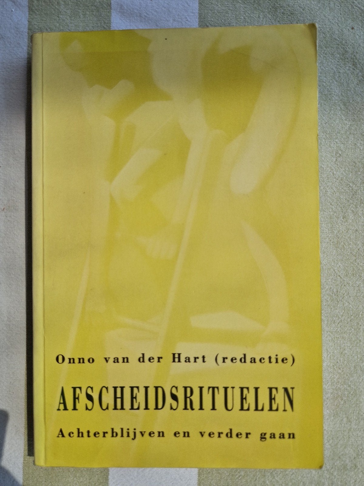 Afscheidsrituelen: Achterblijven en verder gaan, Ophalen of Verzenden, Gelezen, Klinische psychologie, Onno van der Hart (redactie)
