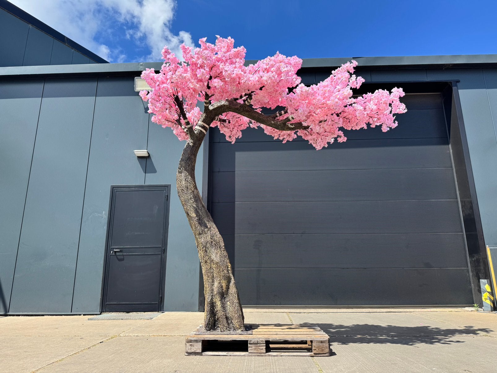 Japanse kersen bloesem (kunstboom), Ophalen of Verzenden, Volle zon, 200 cm of meer