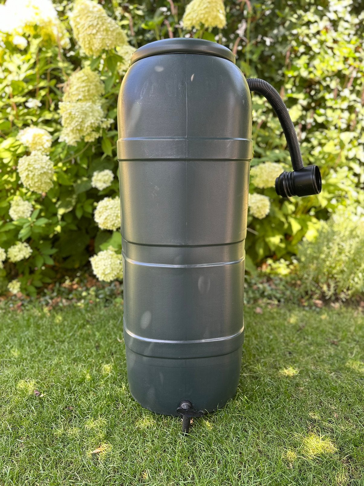 Regenton 100L, Tuin en Terras, Regentonnen, Ophalen, Kunststof, Gebruikt, Met kraantje