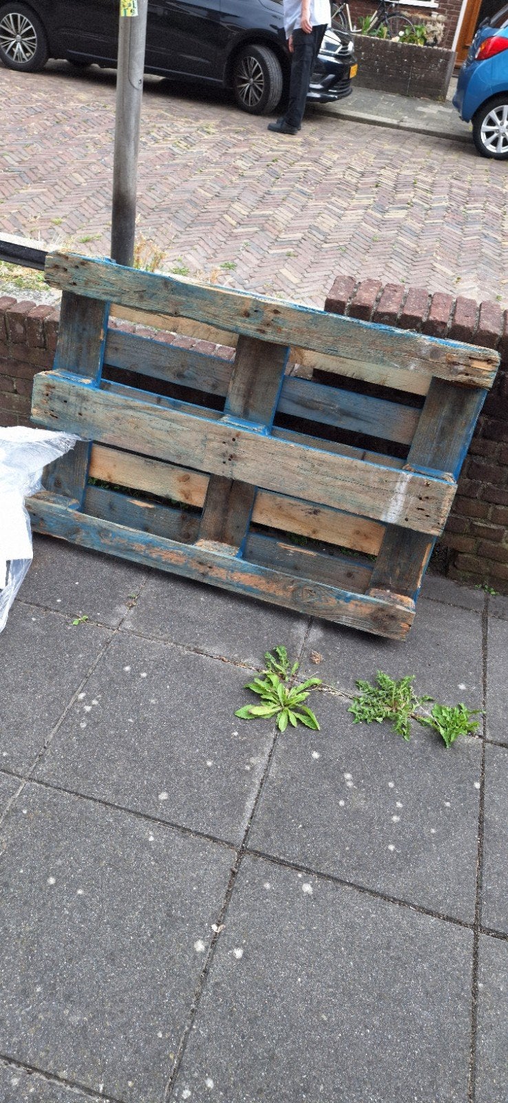 Gratis blauwe pallet euro pallet, Ophalen, 50 mm of meer, Minder dan 200 cm, Vuren