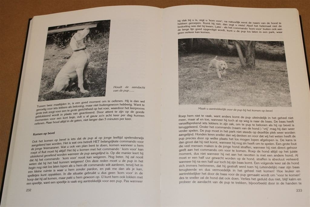 De Weimaraner — Hét Standaardwerk [622 p., Nieuwstaat], Ophalen of Verzenden, Zo goed als nieuw, Honden