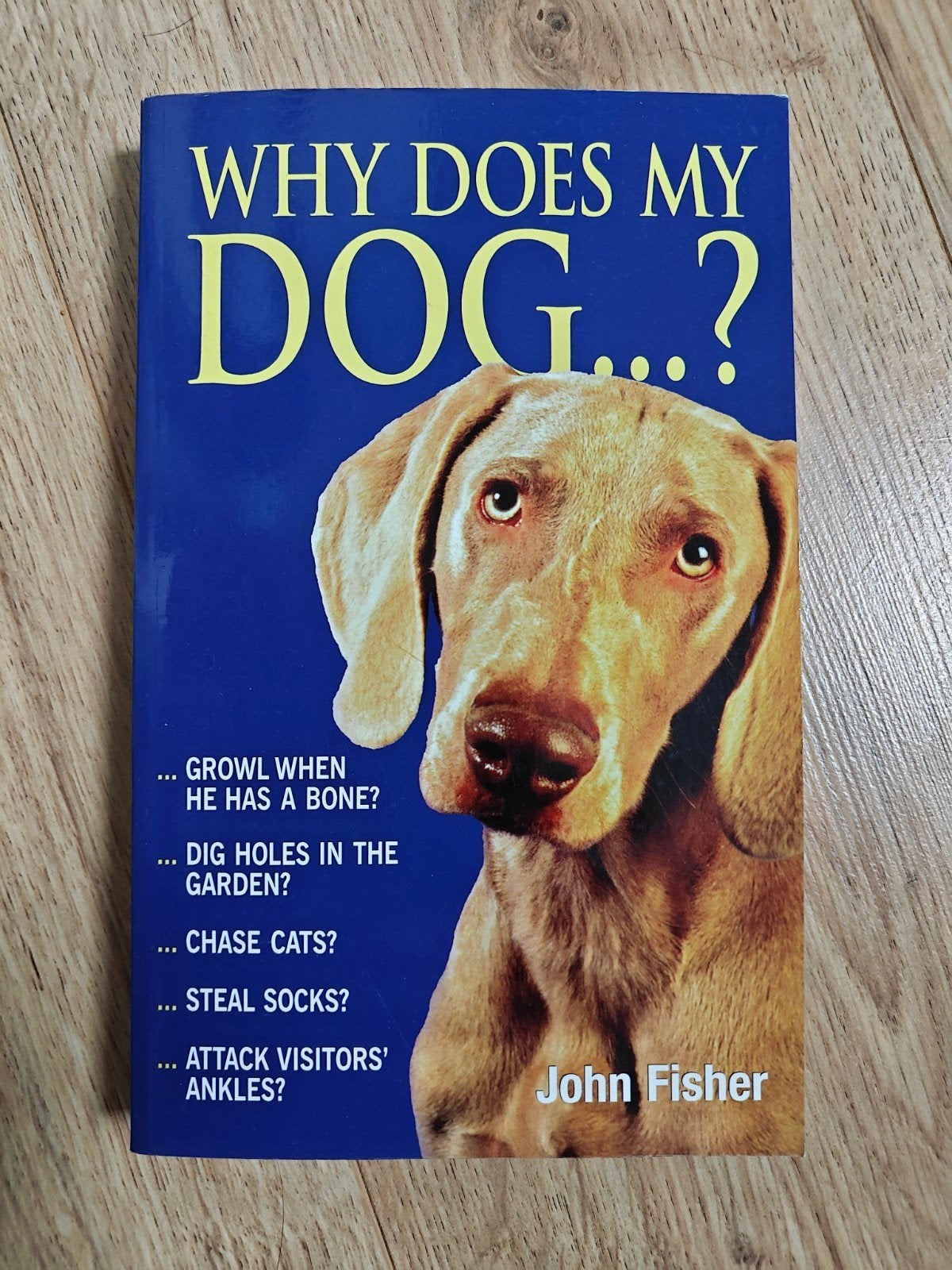 John Fisher - Why Does My Dog...?, Boeken, Ophalen of Verzenden, Zo goed als nieuw, Honden, John Fisher