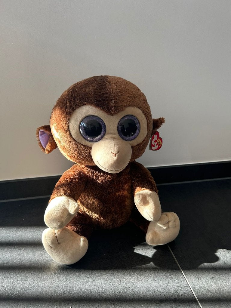 Beanie Boo’s Collection, Kinderen en Baby's, Speelgoed | Knuffels en Pluche, Overige karakters, Nieuw, Ophalen of Verzenden, Met label