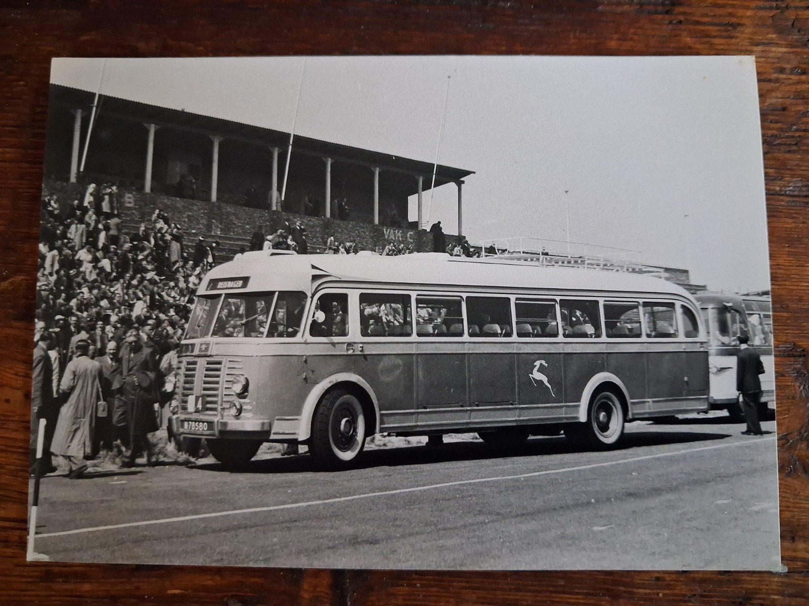 Zwartwitfoto Crossley Verheul bus ( Zandvoort circuit), Verzamelen, Ansichtkaarten | Themakaarten, Ophalen of Verzenden