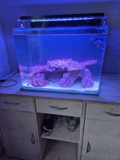 Blue marine 120 leeg zeeaquarium met techniek (geen inhoud), Ophalen, Gebruikt, Leeg aquarium, Blue Marine