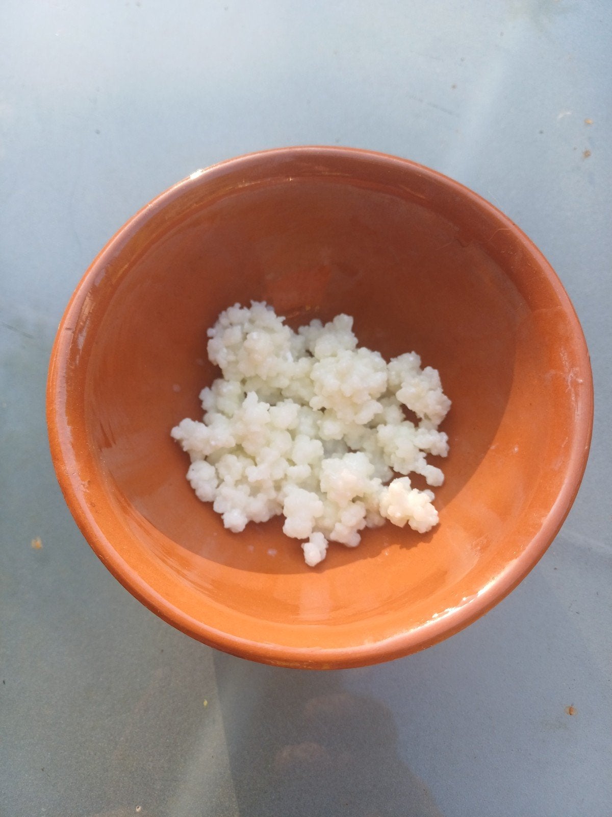 melk kefir korrels, Diversen, Ophalen