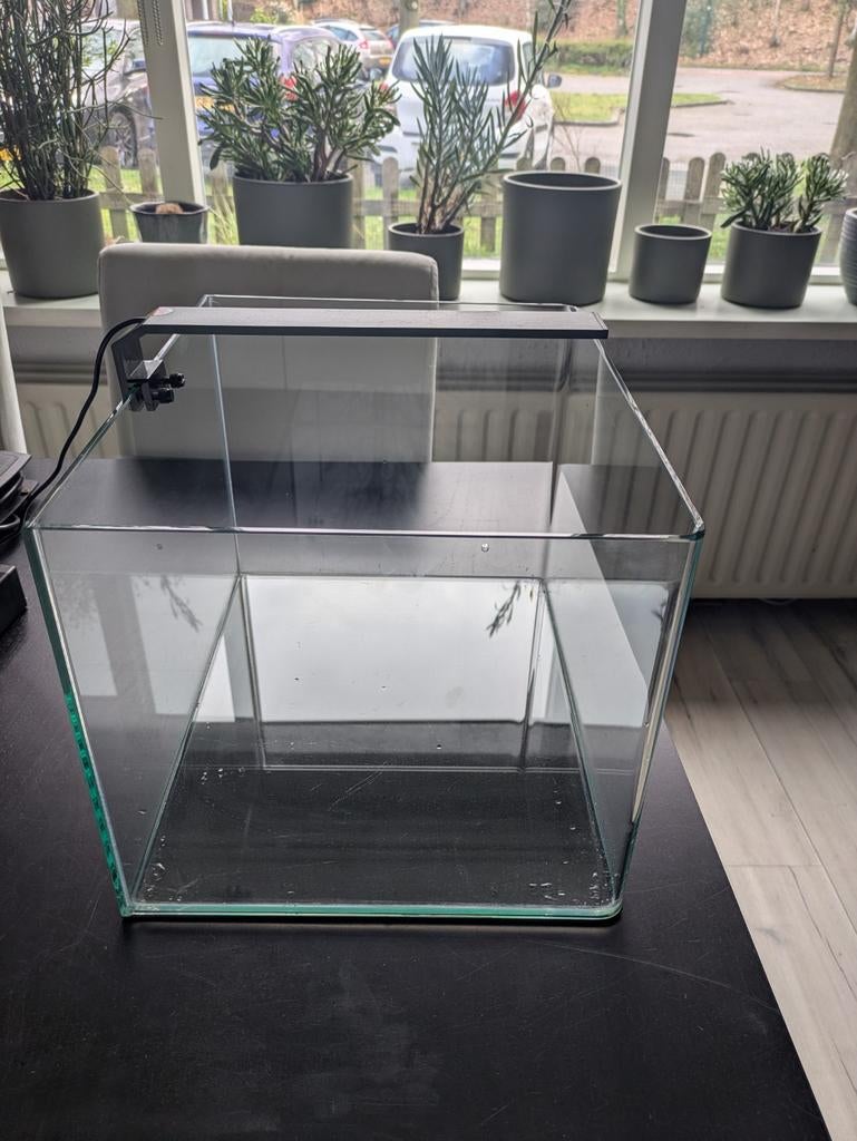 Dennerle 35L cube, Dieren en Toebehoren, Ophalen, Leeg aquarium