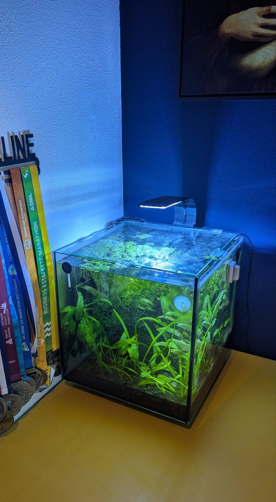 Superfish qubic 30, Ophalen