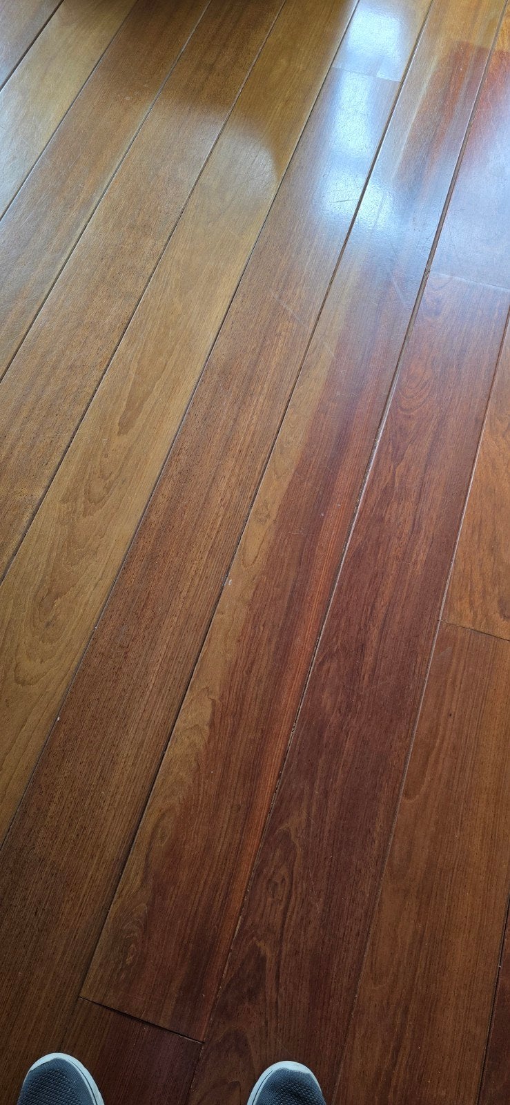 Prachtige Jatoba  vloerdelen, Ophalen, Gebruikt, Vloerdelen of -planken, 10 m² of meer