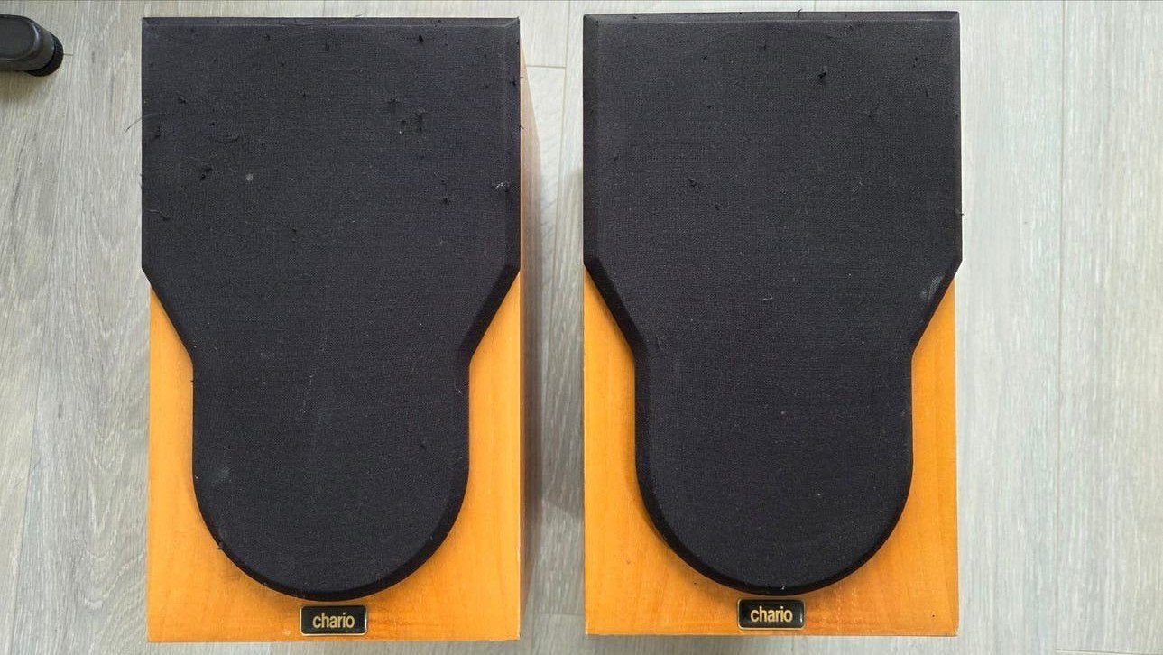 Chario Syntar 100 Boekenplank Luidsprekers - Made in Italy, Overige merken, Gebruikt, Ophalen of Verzenden, Basreflex