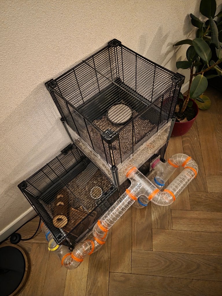 Hamsterkooi Ferplast, Dieren en Toebehoren, Kooi, 60 tot 90 cm, Minder dan 75 cm, Ophalen of Verzenden
