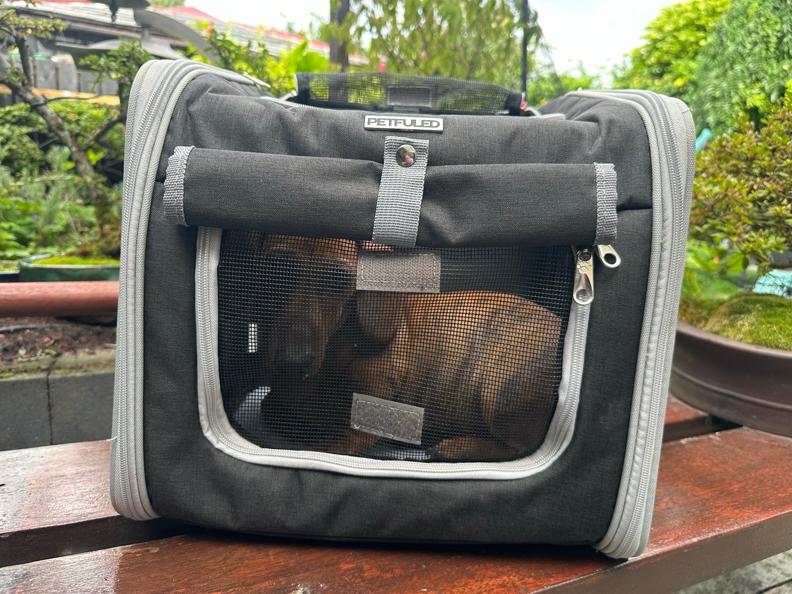 Honden fietsmand / tas, Dieren en Toebehoren, Ophalen, Nieuw