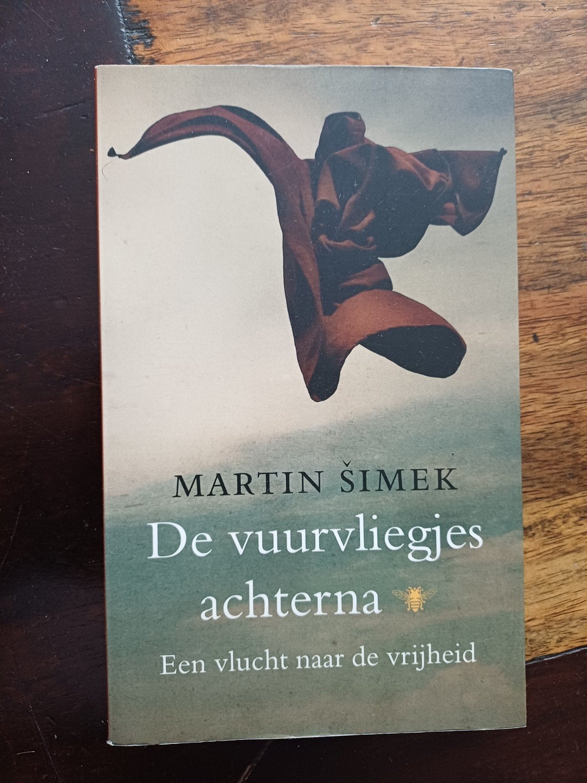 De vuurvliegjes achterna - Martin Šimek, Ophalen of Verzenden, Gelezen, Martin Šimek, Europa overig