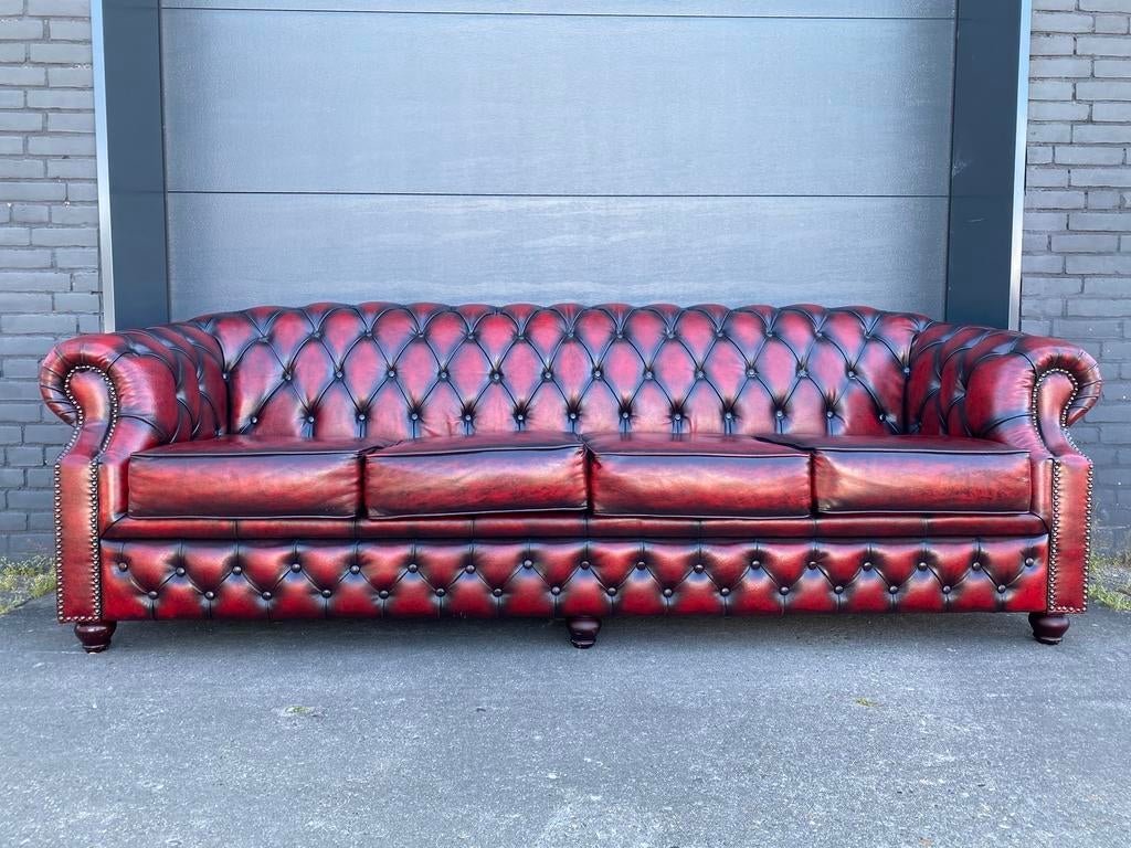 Prachtige XL 4 zit Chesterfield bank Oxblood rood, 125 cm of meer, Leer, Ophalen of Verzenden, Zo goed als nieuw