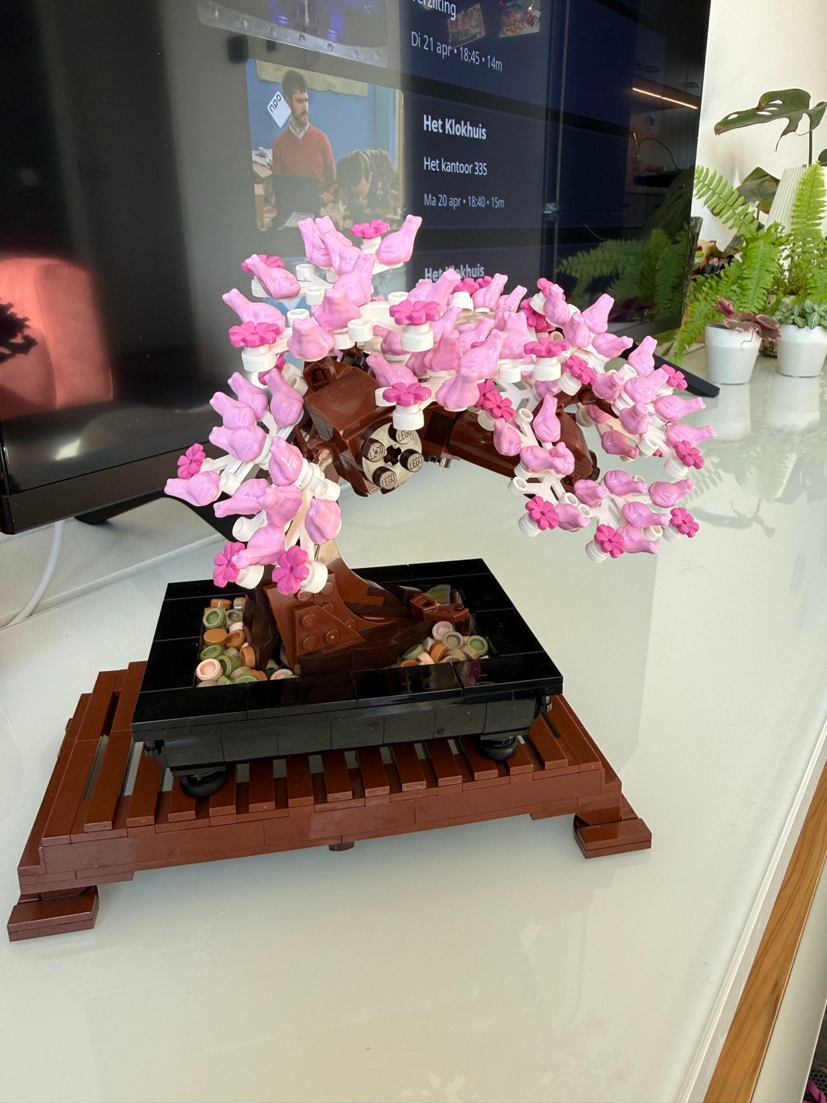 Lego Botanische Collectie Bonsai Boom (zonder doos/bouwteken, Kinderen en Baby's, Ophalen, Zo goed als nieuw, Overige merken