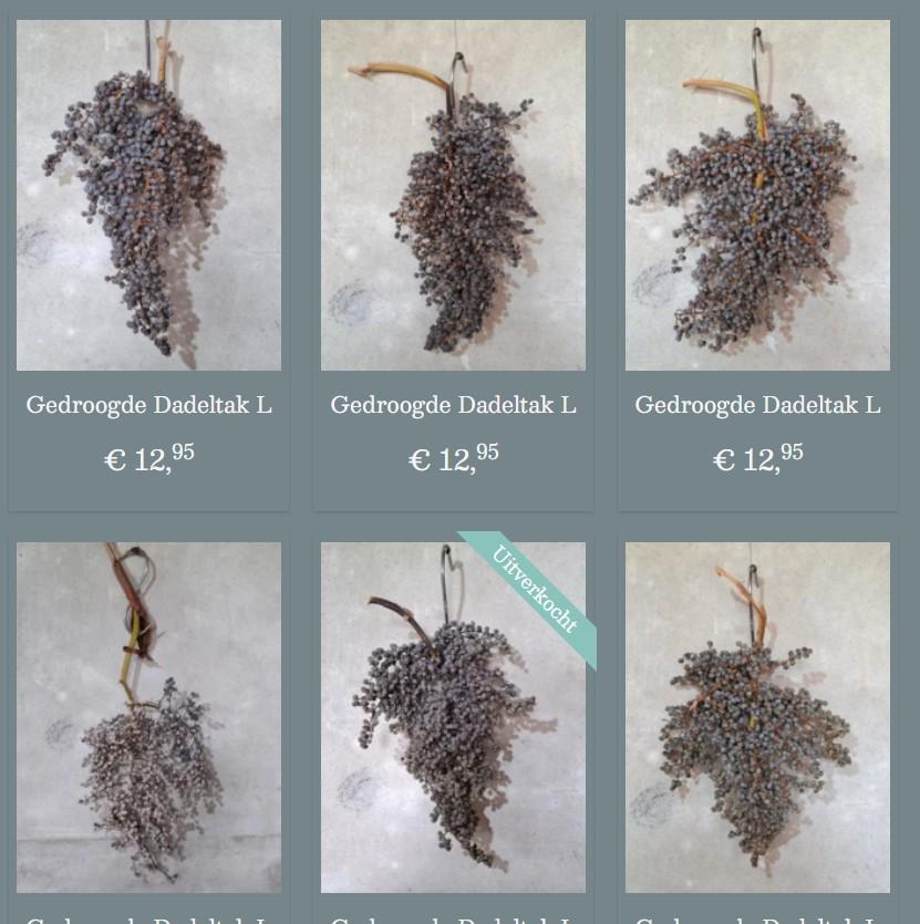 Gedroogde dadeltakken dadeltak droogbloemen sober wonen, N, T, Nieuw, Ophalen of Verzenden