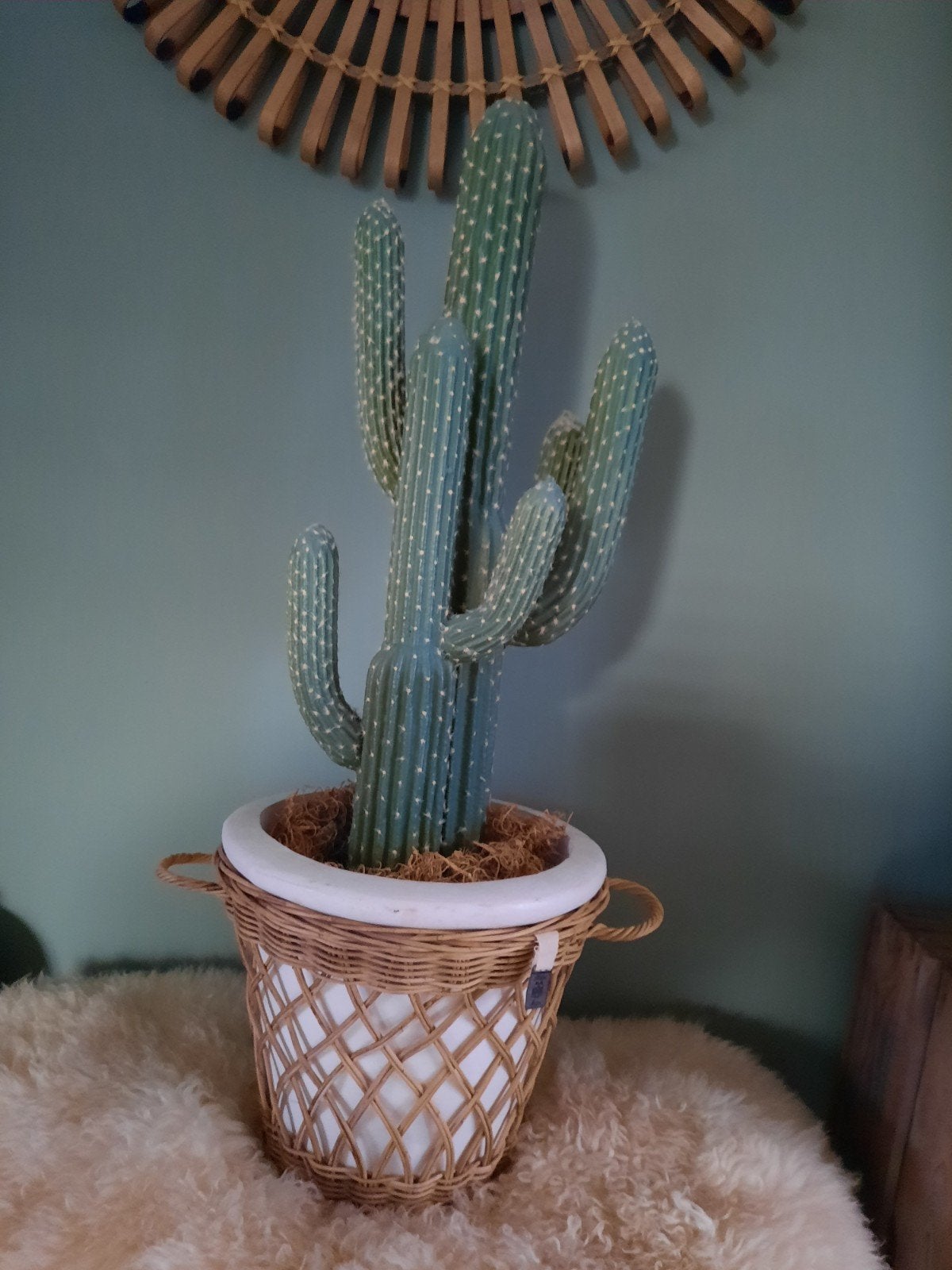 Kunst cactus Riviera Maison, Ophalen, Zo goed als nieuw, Kunstplant, Binnen