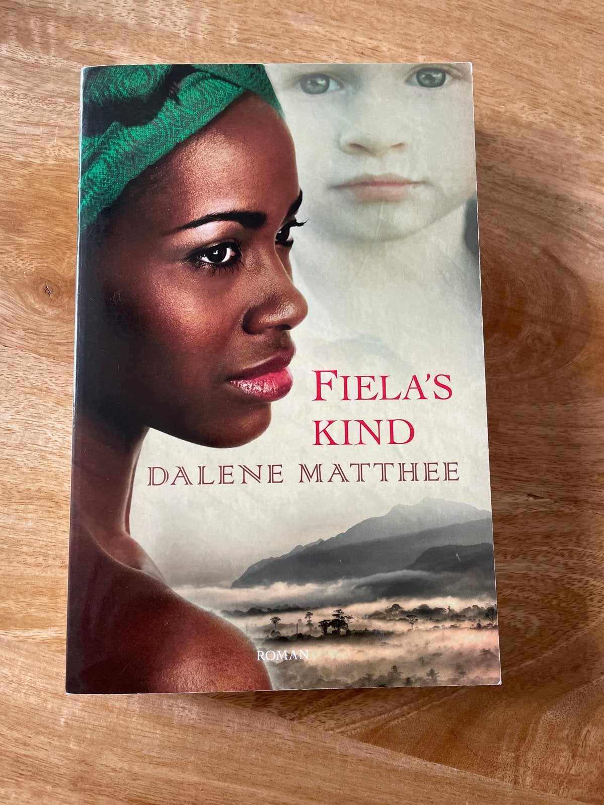 Dalene Matthee - Fiela's kind, Ophalen of Verzenden, Zo goed als nieuw, Dalene Matthee