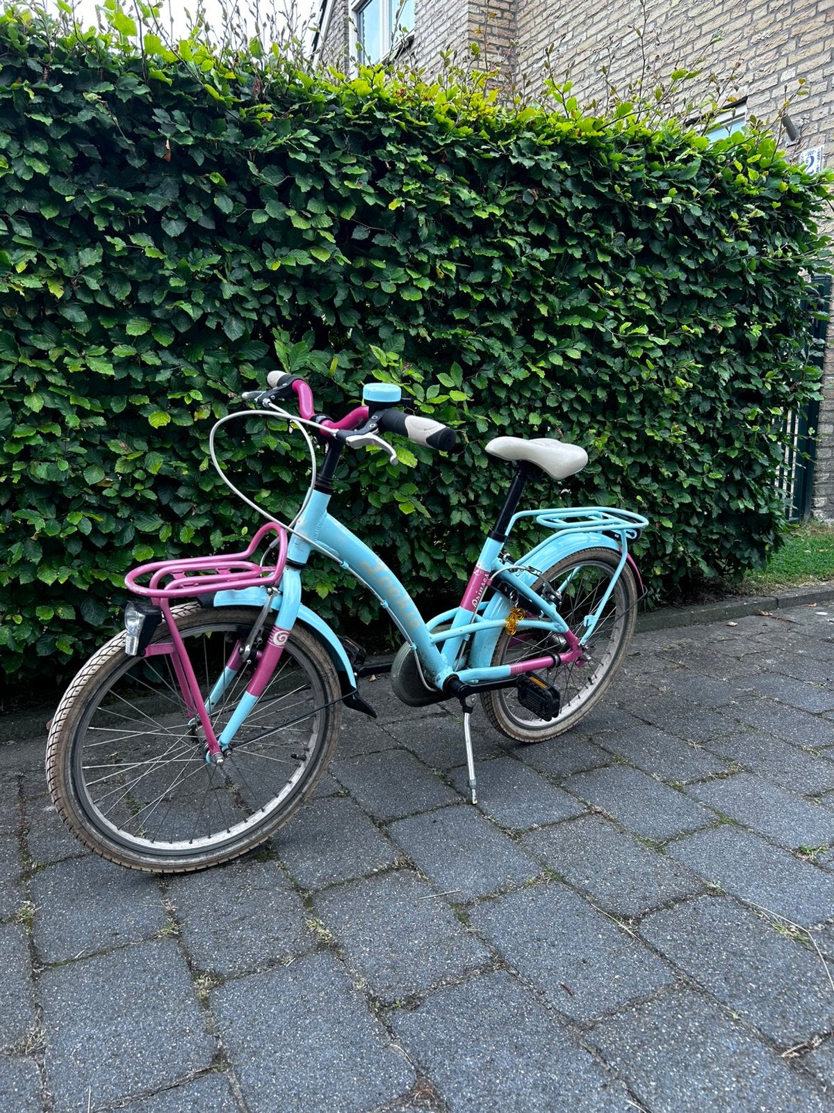 Meisjesfiets 20 inch Loekie, Fietsen en Brommers, Ophalen, Gebruikt, 20 inch